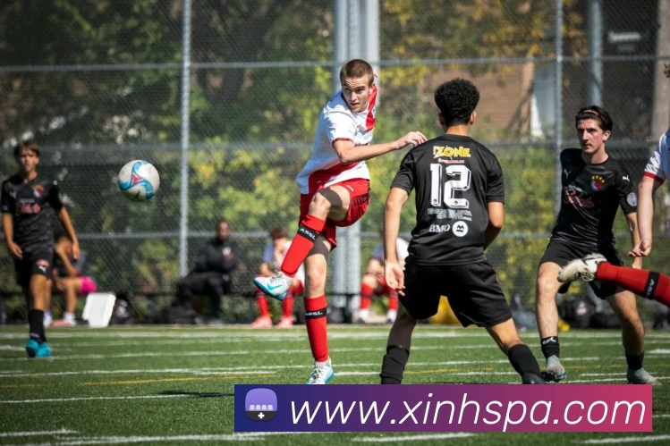 pa视讯平台生态图